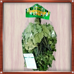 Веник БЕРЕЗОВЫЙ РАЙ в индивидуальной упаковке